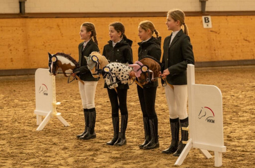 Hobby Horsing Reitschule